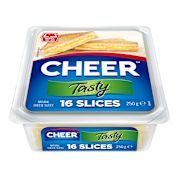 TASTY CHEESE SLICES 250GM