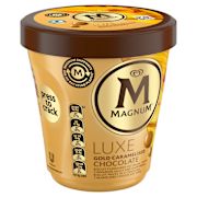 GOLD CARAMELISED CHOCOLATE LUXE ICE CREAM 440ML