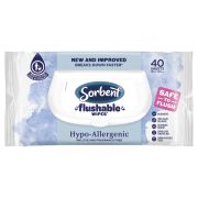 CLEAN & FRESH HYPOALLERGENIC FLUSHABLE MOIST PERSONAL WIPES 40S