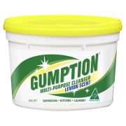 PASTE CLEANER TUB 500GM