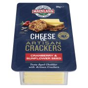 OTG TASTY CHEESE WITH CRANBERRY & SUNFLOWER CRACKERS 38GM