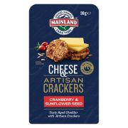 OTG TASTY CHEESE WITH CRANBERRY & SUNFLOWER CRACKERS 38GM