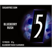 5 BLUEBERRY SUGAR FREE CHEWING GUM STICK 32GM