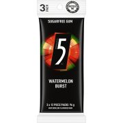 5 WATERMELON CHEWING GUM 3 PACK 96GM