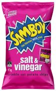 SALT AND VINEGAR POTATO CHIPS 45GM