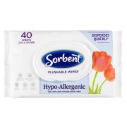 CLEAN & FRESH HYPOALLERGENIC FLUSHABLE MOIST PERSONAL WIPES 40S