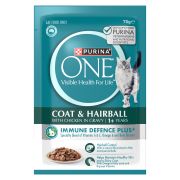 ONE CHICKEN HAIRBALL FORMULA ADULT CAT FOOD 70GM