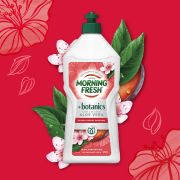 PLUM & CHERRY BLOSSOM BOTANICALS ULTRA CONCENTRATE DISHWASHING LIQUID 680ML