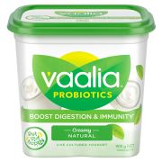 LOW FAT NATURAL YOGHURT 900GM