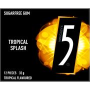 5 TROPICAL GUM 32GM