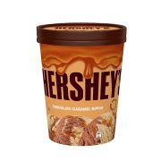 CHOCOLATE CARAMEL ICE CREAM TUB 1L