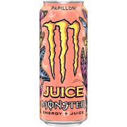 ENERGY DRINK PUNCH PAPILLON CANS 500ML