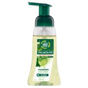 LIME FOAMING ANTI-BACTERIAL LIQUID SOAP 250ML