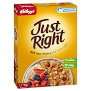 JUST RIGHT ORIGINAL 740GM