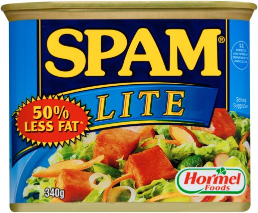 LITE SPICED HAM 340GM