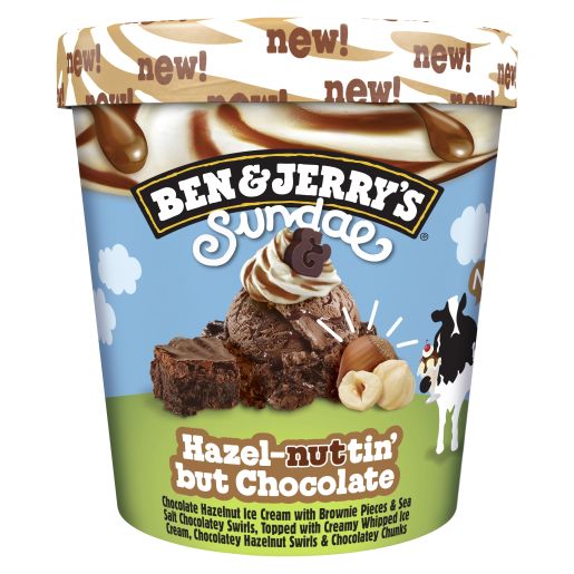 HAZELNUTTIN CHOCOLATE SUNDAE ICE CREAM 427ML