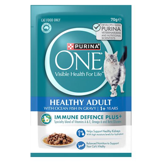 ONE OCEAN FISH ADULT CAT FOOD 70GM