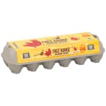 Community Co Free Range X-Large Aussie Eggs