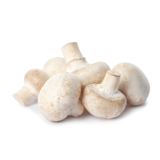 Mushroom Cups Loose