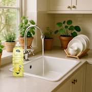 Earth Choice Dishwashing Liquid