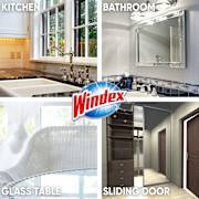 Windex Glass Cleaner Trigger
