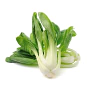 Bok Choy Asian Greens