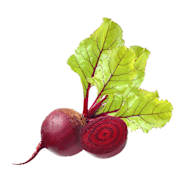 Baby Beetroot Prepack