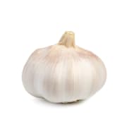 Garlic Bulb