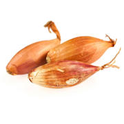 French Shallots