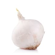 White Onion