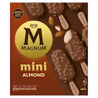 Magnum Mini Ice Cream Almond