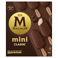 Magnum Classic Mini Ice Cream