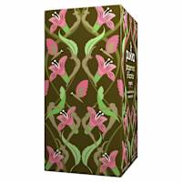 Pukka Herbs Peppermint & Licorice Herbal Tea Bags Organic & Fair Peppermint Leaf and Licorice