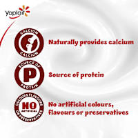 Yoplait Berry Punnet Yoghurt Multipack