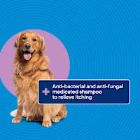 Purina Total Care Shampoo Shampoo Medicated Dog 