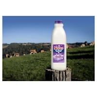 Norco Lactose Free Full Cream Milk