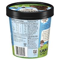 Ben & Jerry's Ice Cream Chocolate Fudge Brownie