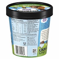 Ben & Jerry's Ice Cream Phish Food