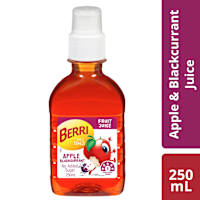 Berri Apple Blackcurrant Juice Pop Top