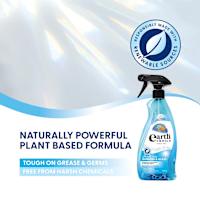 Earth Choice Window Cleaner Window