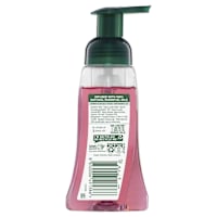 Palmolive Foaming Hand Wash Soap Raspberry Pump