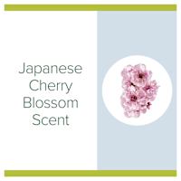 Palmolive Antibacterial Travel Hand Sanitiser Cherry Blossom