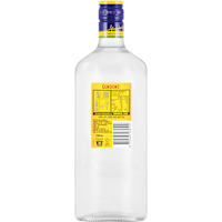 Gordon's London Dry Gin Bottle