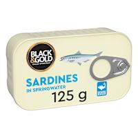 Black & Gold Sardines In Saltwater