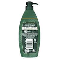 Palmolive Luminous Oils Hair Shampoo Moroccan Argan Oil & Camellia Strengthen & Protect