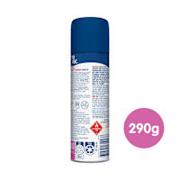 No Vac Foam Carpet Sanitiser & Deodoriser Garden Breeze