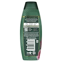 Palmolive Luminous Oils Moroccan Argan Oil & Camellia Protect Shampoo