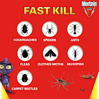 Mortein Insect Spray Rapid Kill