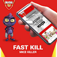 Mortein Trap Secure Mouse