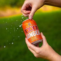XXXX Ginger Beer Can 330mL